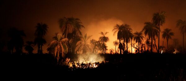 Los incendios forestales en Bolivia - Sputnik Mundo