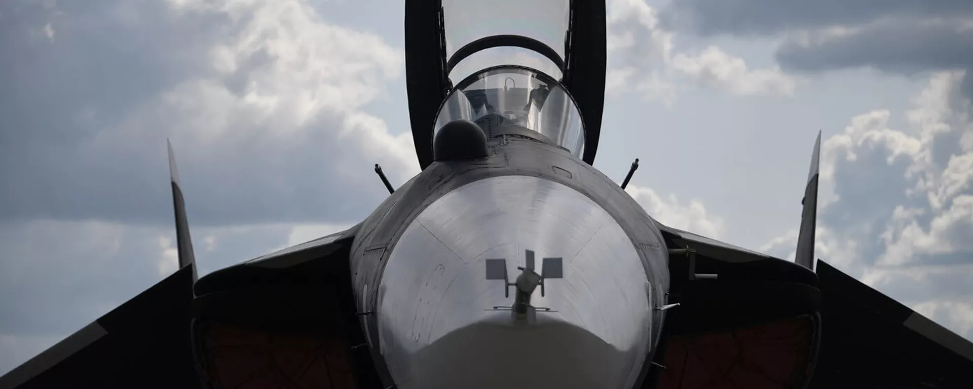 El caza Su-47 Berkut El caza Su-47 Berkut - Sputnik Mundo, 1920, 31.08.2019