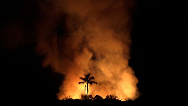 Incendios forestales en la amazonía brasileña Incendios forestales en la amazonía brasileña - Sputnik Mundo