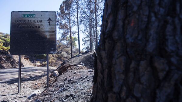 Las consecuencias de los incendios en España - Sputnik Mundo