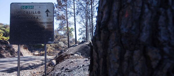 Las consecuencias de los incendios en España - Sputnik Mundo