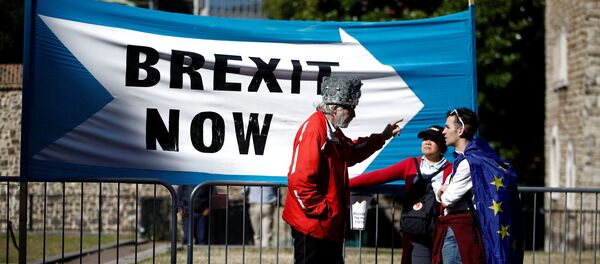 Los partidarios de Brexit Los partidarios de Brexit - Sputnik Mundo