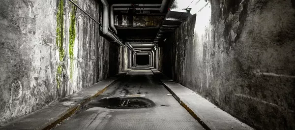 Un túnel subterráneo (imagen referencial) Un túnel subterráneo (imagen referencial) - Sputnik Mundo