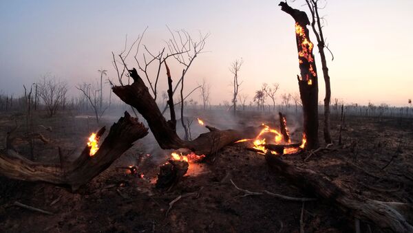 Incendios en Bolivia - Sputnik Mundo