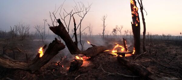 Incendios en Bolivia - Sputnik Mundo