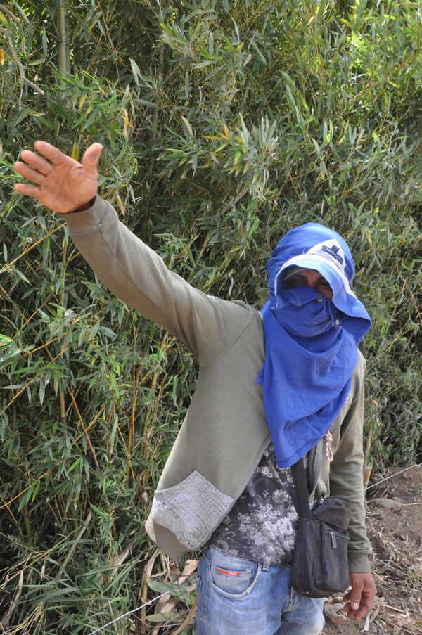 Colombia (no) es país para campesinos - Sputnik Mundo