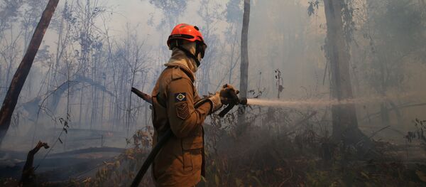Un bombero apaga incendios en Amazonía - Sputnik Mundo