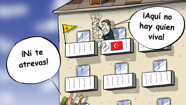 ¡Aquí no hay quién viva! EEUU regaña a Turquía por querer asegurar su frontera ¡Aquí no hay quién viva! EEUU regaña a Turquía por querer asegurar su frontera - Sputnik Mundo