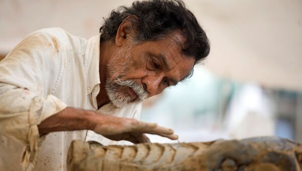 El artista plástico, Francisco Toledo - Sputnik Mundo