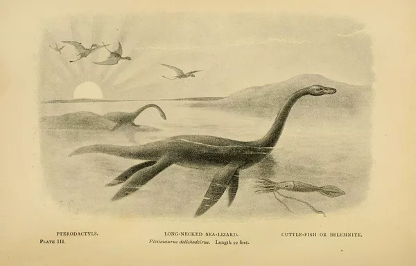 Monstruo del lago Ness: cómo surgió la leyenda y qué se sabe realmente sobre él Monstruo del lago Ness: cómo surgió la leyenda y qué se sabe realmente sobre él - Sputnik Mundo