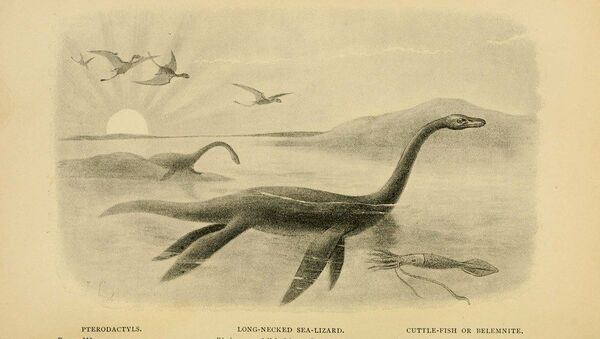 Un plesiosaurios - Sputnik Mundo