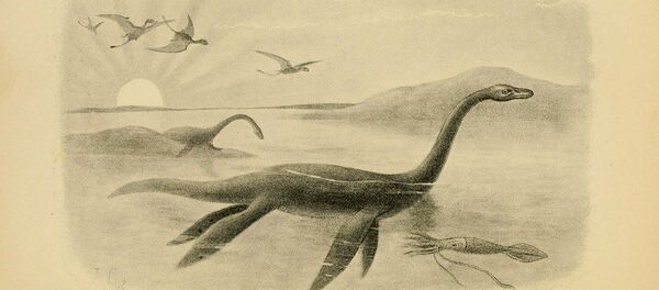 Un plesiosaurios - Sputnik Mundo