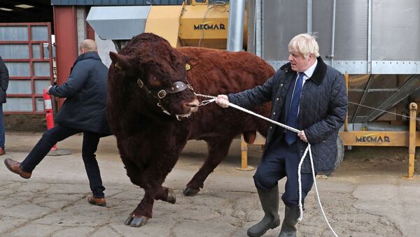 Boris Johnson, primer ministro británico - Sputnik Mundo