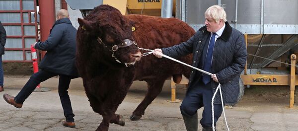 Boris Johnson, primer ministro británico Boris Johnson, primer ministro británico - Sputnik Mundo