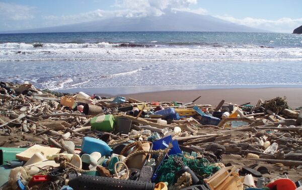 Muestra Out to Sea? The Plastic Garbage Project - Sputnik Mundo