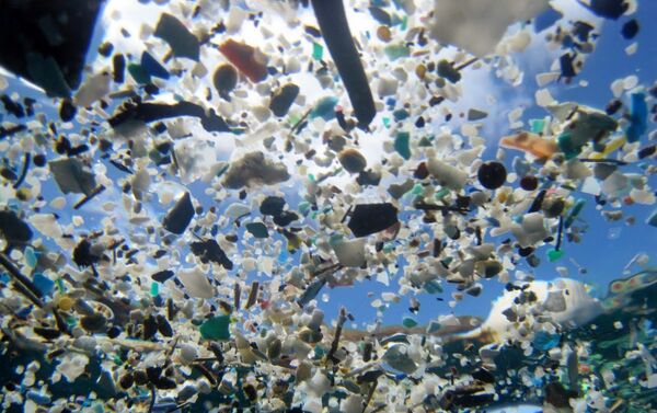 Muestra Out to Sea? The Plastic Garbage Project - Sputnik Mundo