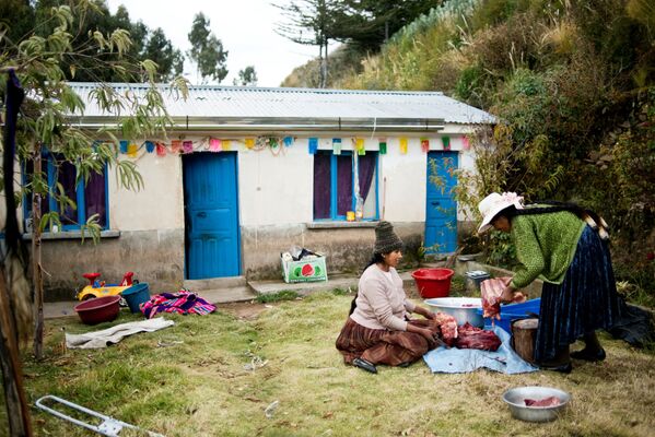 La muerte del Titicaca: cómo agoniza uno de los lagos más hermosos del planeta
 - Sputnik Mundo