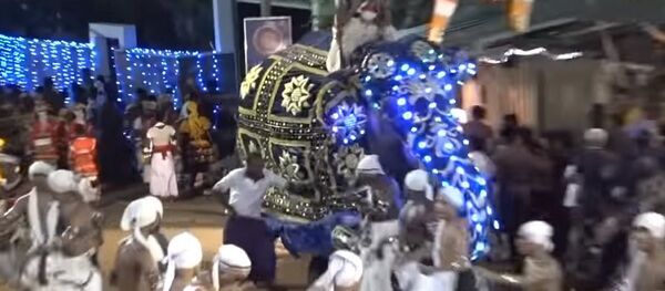 Un elefante pisotea a la multitud y deja numerosos heridos en Sri Lanka (fuertes imágenes) Un elefante pisotea a la multitud y deja numerosos heridos en Sri Lanka (fuertes imágenes) - Sputnik Mundo