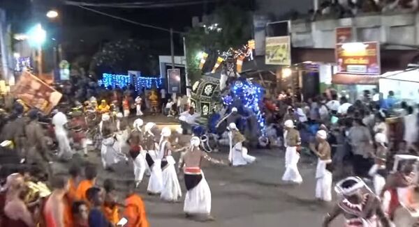 Un elefante pisotea a la multitud y deja numerosos heridos en Sri Lanka (fuertes imágenes) - Sputnik Mundo