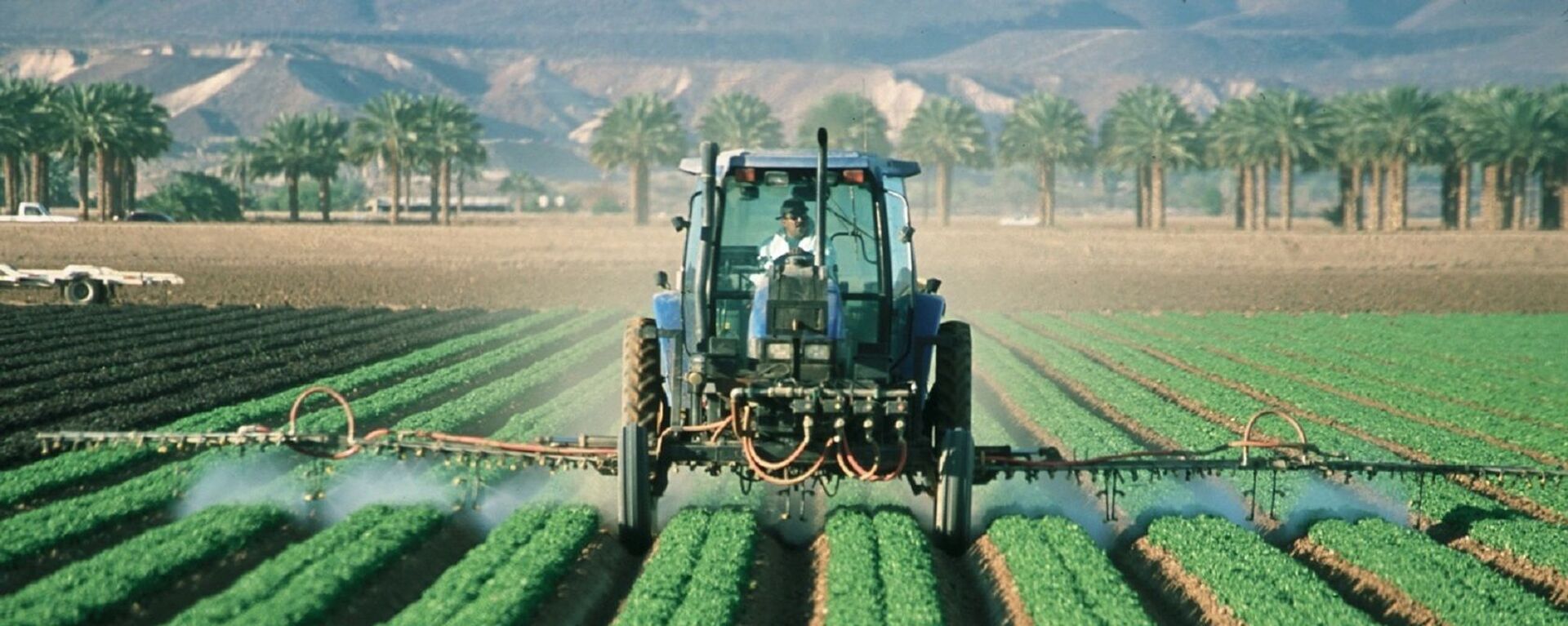 Fumigación con glifosato - Sputnik Mundo, 1920, 02.09.2020