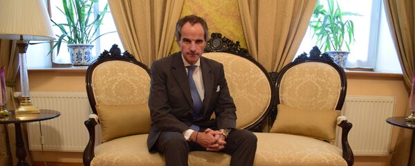 Rafael Grossi, candidato argentino al cargo de director general del OIEA - Sputnik Mundo