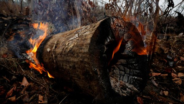 Incendios en la Amazonía continuan Incendios en la Amazonía continuan - Sputnik Mundo