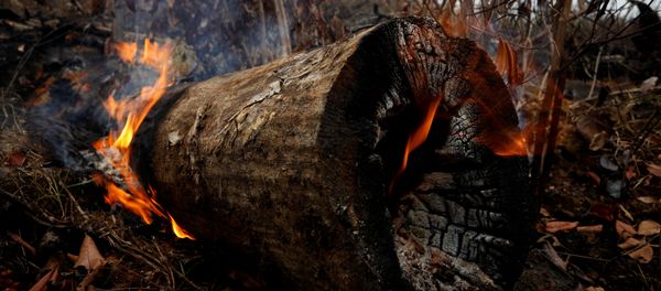 Incendios en la Amazonía continuan - Sputnik Mundo