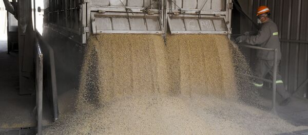 Un cargamento de soja en Argentina - Sputnik Mundo