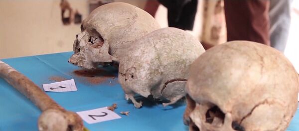 Conmoción en Paraguay por los restos humanos hallados en la finca del exdictador Stroessner - Sputnik Mundo