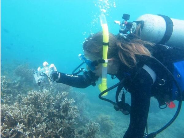 Malas noticias para Nemo: los arrecifes de coral están desapareciendo - Sputnik Mundo