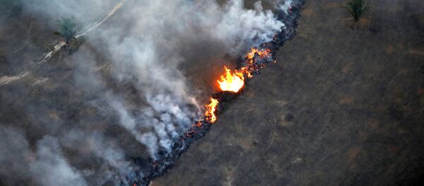Así se ve desde el espacio el 'pulmón del planeta' quemado

 - Sputnik Mundo
