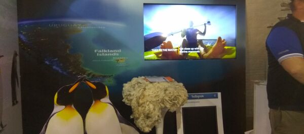 Stand de las Islas Falkland en la Expoprado 2019 en Montevideo, Uruguay - Sputnik Mundo