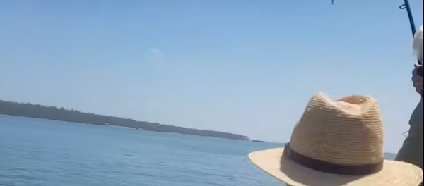 Un australiano pesca un enorme cocodrilo  - Sputnik Mundo