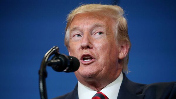 Donald Trump, presidente de EEUU  - Sputnik Mundo