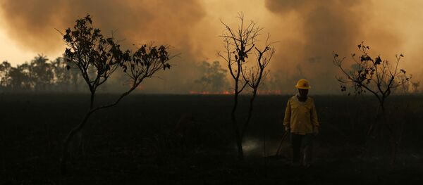 Los incendios en Amazonía Los incendios en Amazonía - Sputnik Mundo