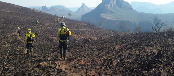 Consecuencias de los incendios forestales en Santa Cruz, Bolivia - Sputnik Mundo