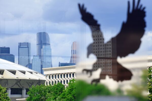 Una paloma defeca sobre un legislador que discutía sobre palomas (vídeo) Una paloma defeca sobre un legislador que discutía sobre palomas (vídeo) - Sputnik Mundo