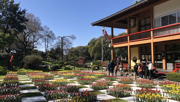 Jardín Japonés en Buenos Aires - Sputnik Mundo