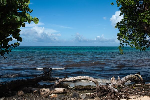 Corn Islands, un paraíso en Nicaragua para turistas nacionales y extranjeros (fotos) - Sputnik Mundo