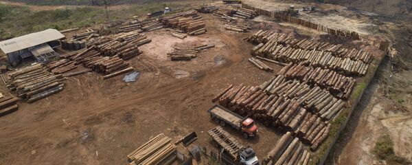 Leño en la Amazonía - Sputnik Mundo