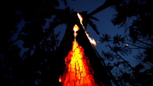 Incendios forestales en la Amazonía - Sputnik Mundo