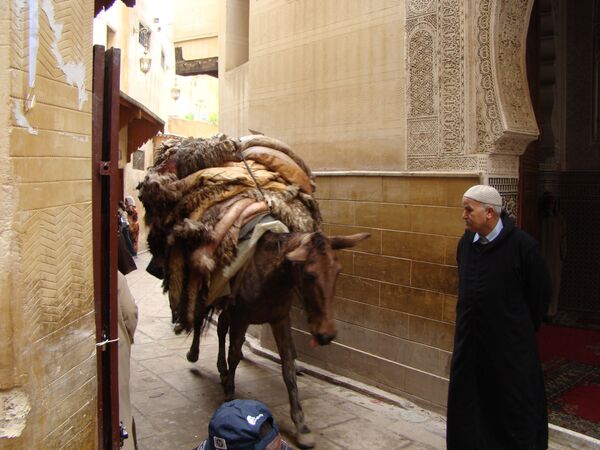 Siete lugares donde está prohibido el tráfico de automóviles - Sputnik Mundo