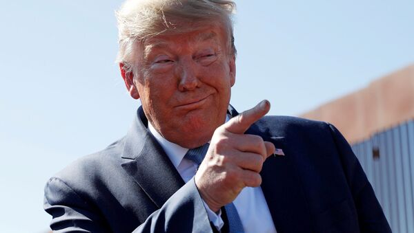 Президент США Дональд Трамп во время осмотра строящейся пограничной стены США-Мексика в приграничном городе Отай-Меса, Калифорния, США - Sputnik Mundo