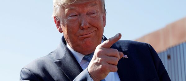 Президент США Дональд Трамп во время осмотра строящейся пограничной стены США-Мексика в приграничном городе Отай-Меса, Калифорния, США - Sputnik Mundo