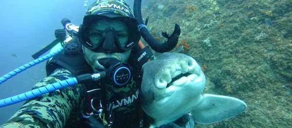 Rick Anderson y un tiburón de Port Jackson, en Australia - Sputnik Mundo