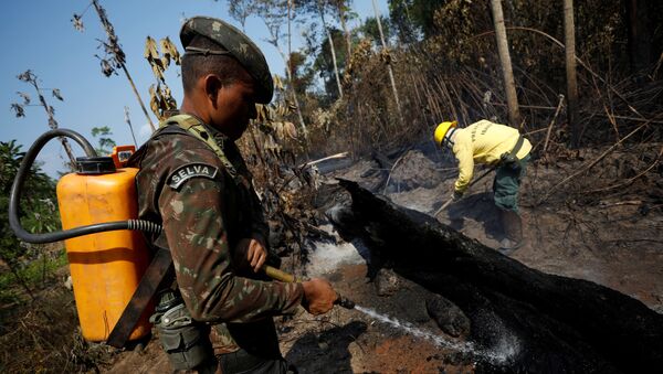 Fuerzas Armadas de Brasil en Amazonía - Sputnik Mundo