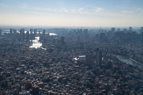 El destino del mundo está en manos de un puñado de supercorporaciones, según un estudio - Sputnik Mundo