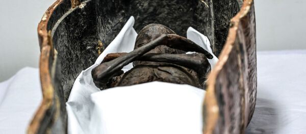 Мумия Сеннеджема на столе в Египетском национальном музее - Sputnik Mundo