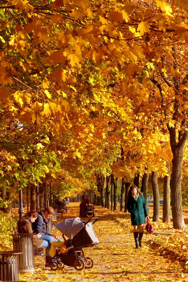 ¡Hora de viajar! Siete lugares espectaculares para visitar este otoño boreal - Sputnik Mundo