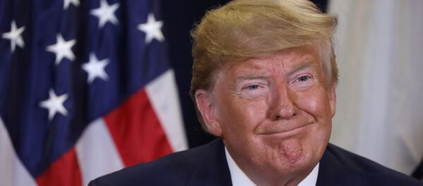 El presidente Donald Trump en la ONU El presidente Donald Trump en la ONU - Sputnik Mundo